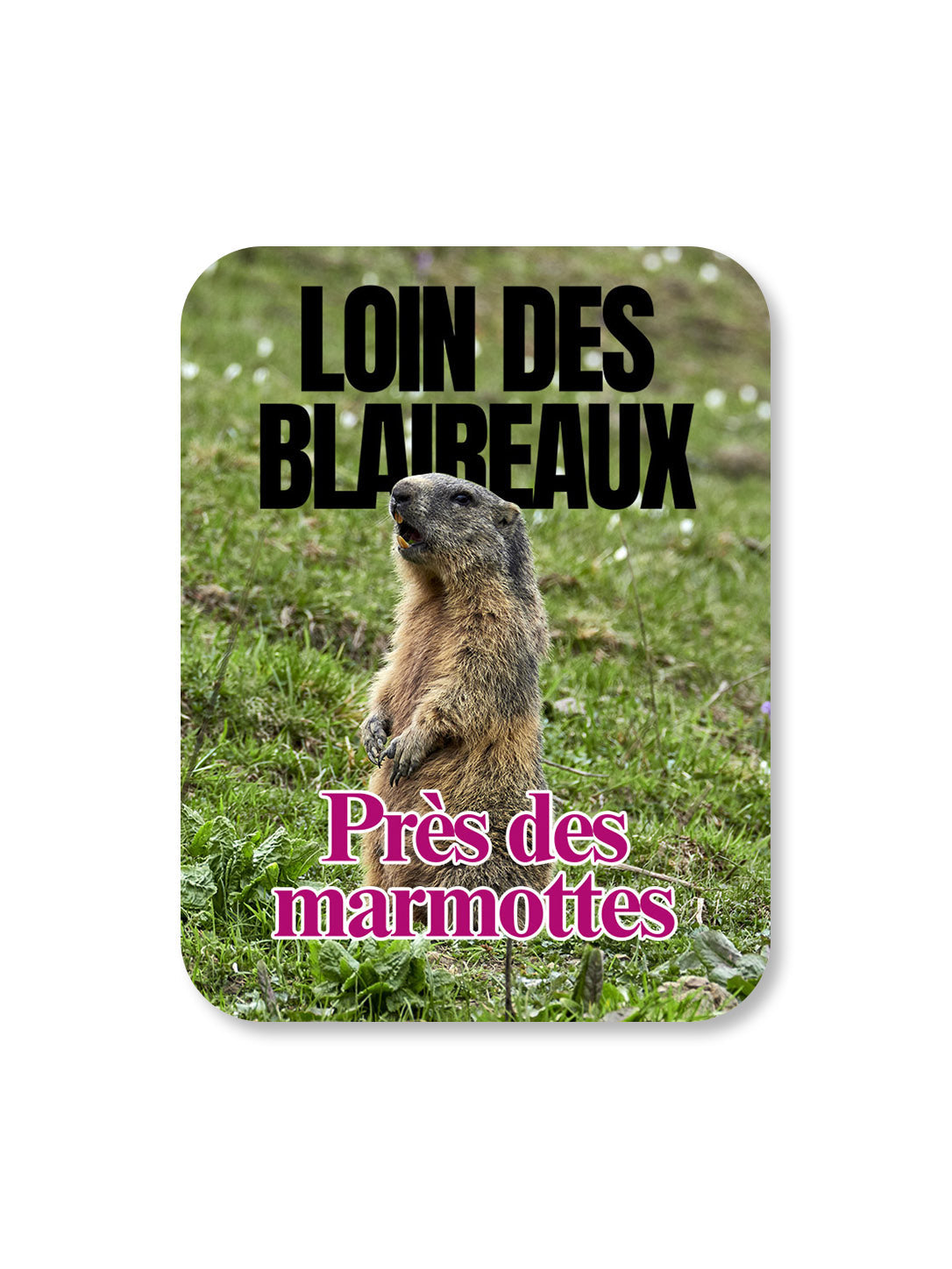 Aimant Loin des blaireaux, près des marmottes Encre et Créations