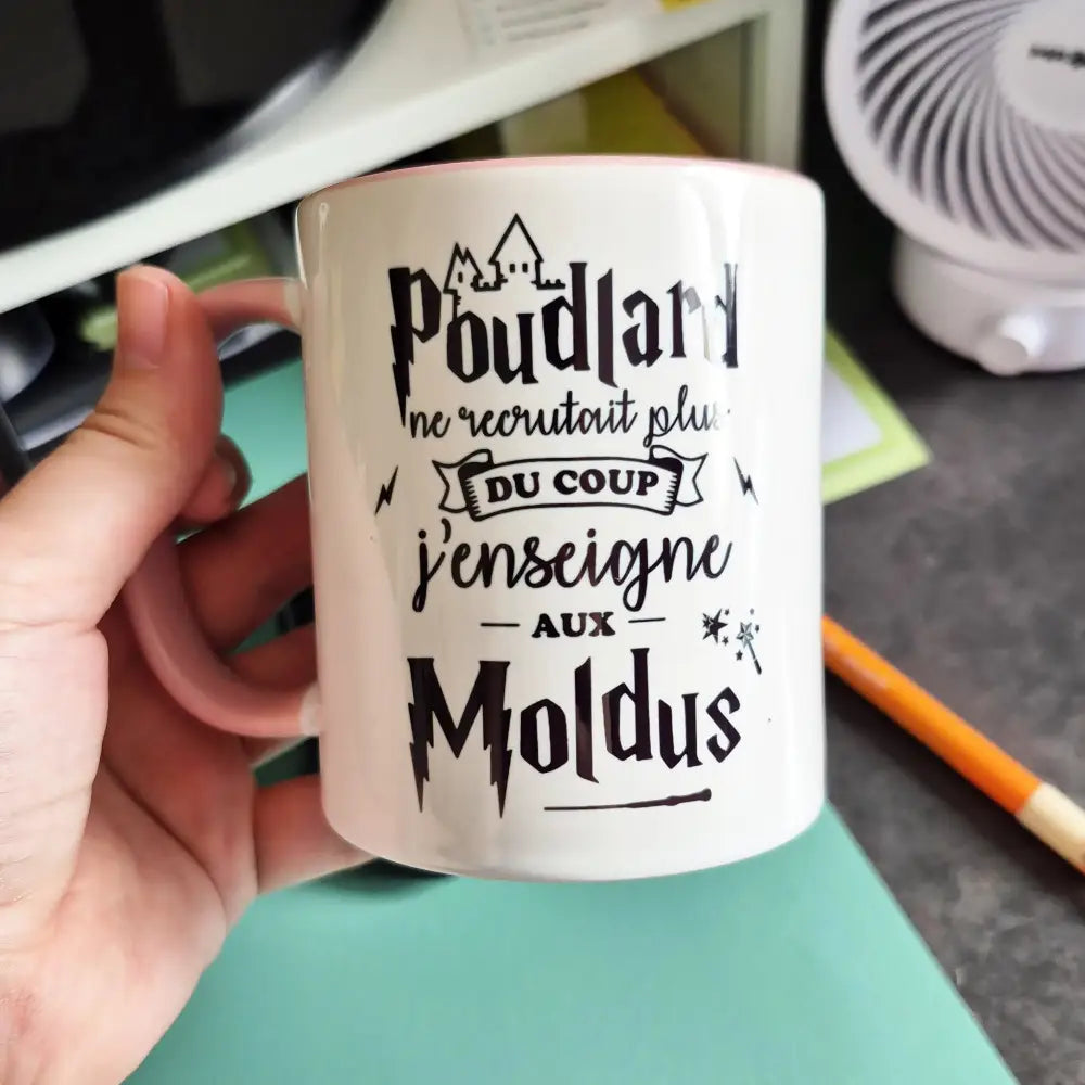 Mug céramique J'enseigne aux moldus