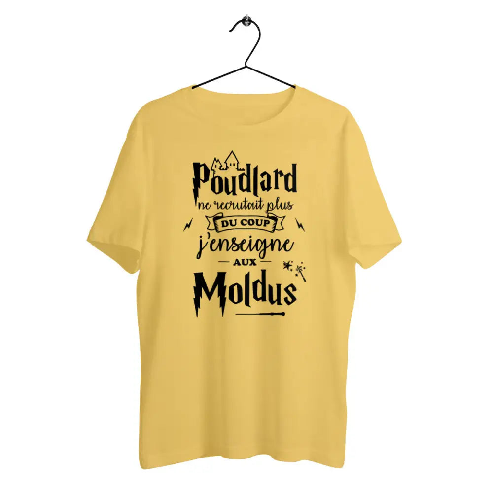 T-shirt homme en coton bio J'enseigne aux moldus