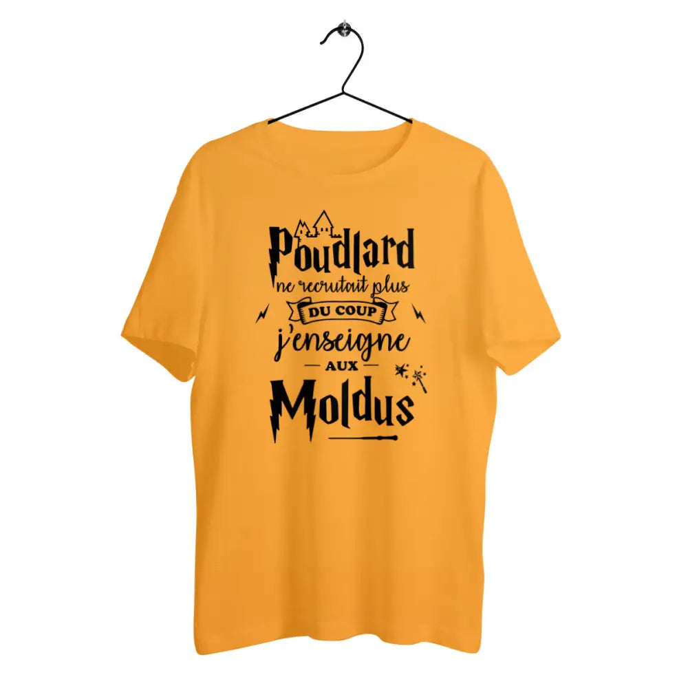 T-shirt homme en coton bio J'enseigne aux moldus