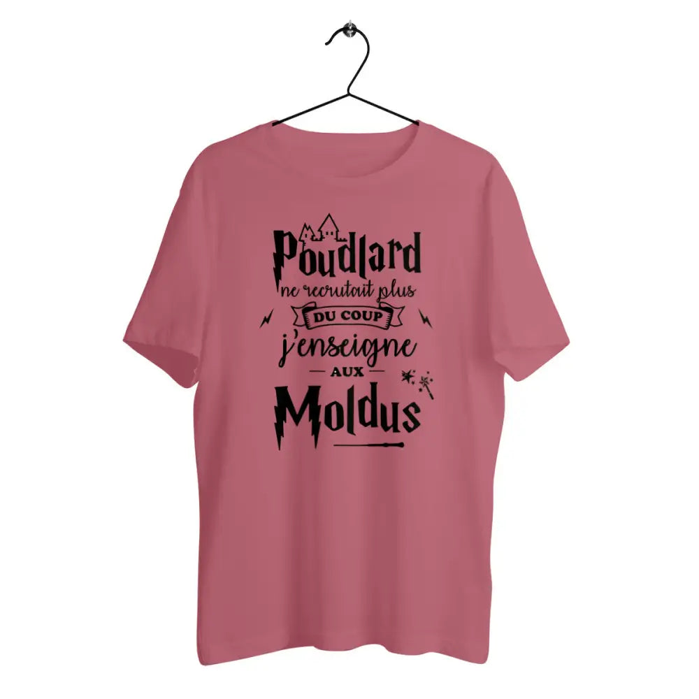 T-shirt homme en coton bio J'enseigne aux moldus