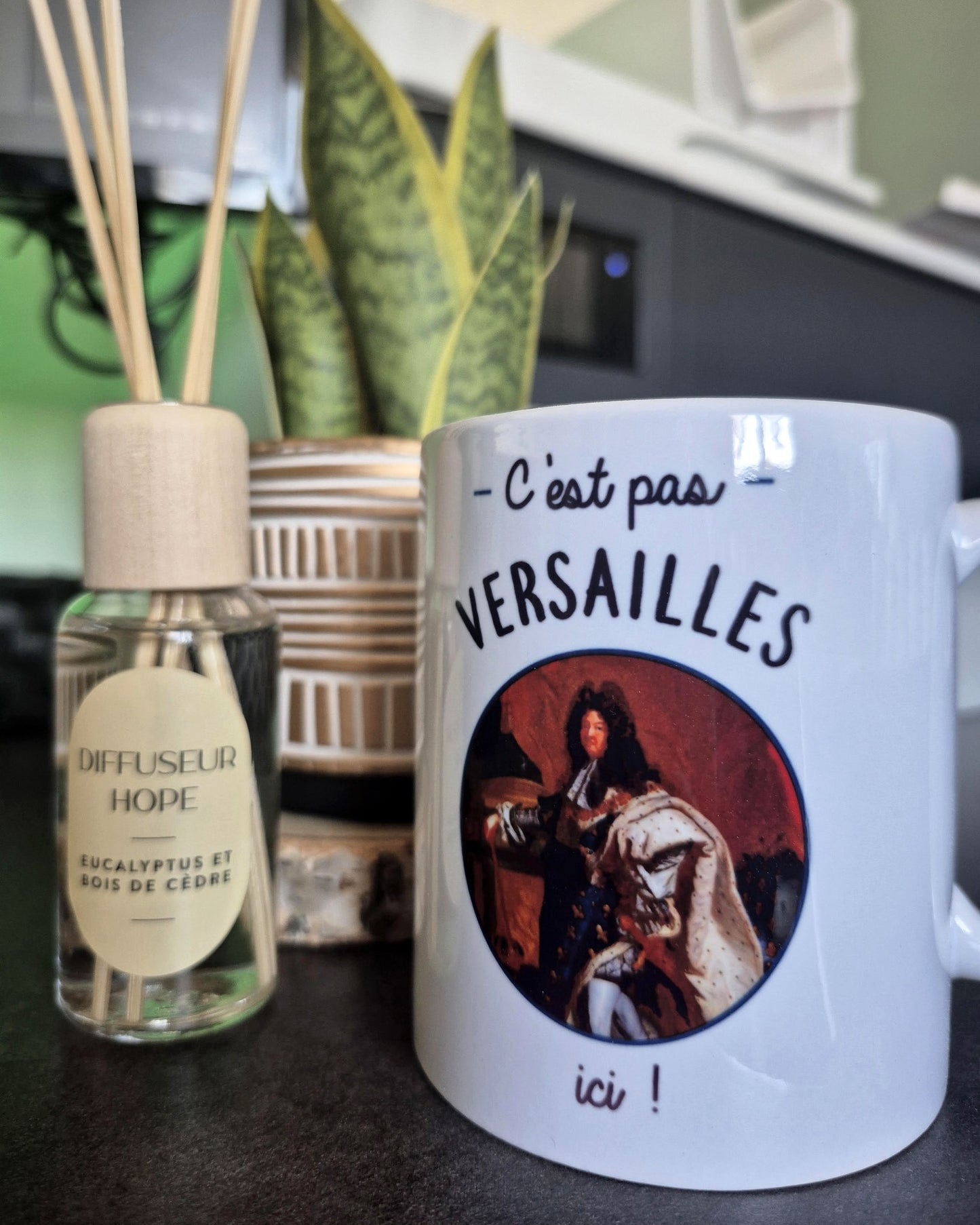 Mug céramique C'est pas Versailles ici