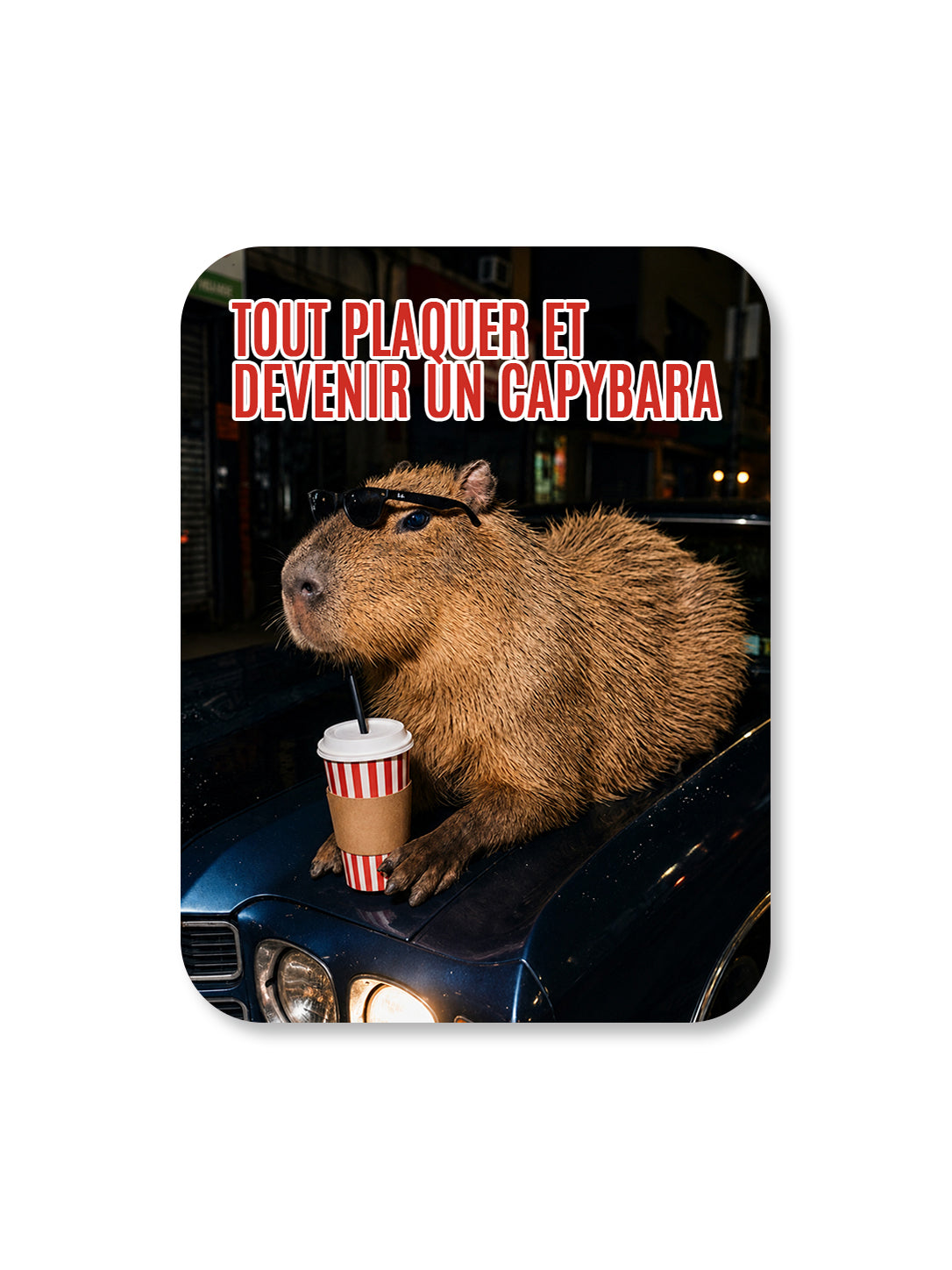 Aimant Tout plaquer et devenir un capybara