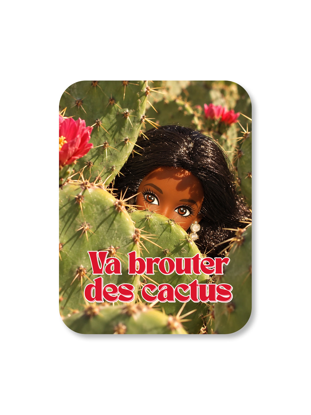 Aimant Va brouter des cactus Encre et Créations