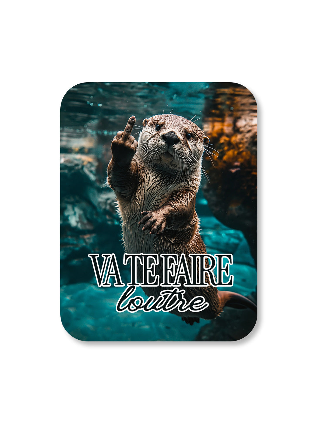 Aimant Va te faire loutre Encre et Créations