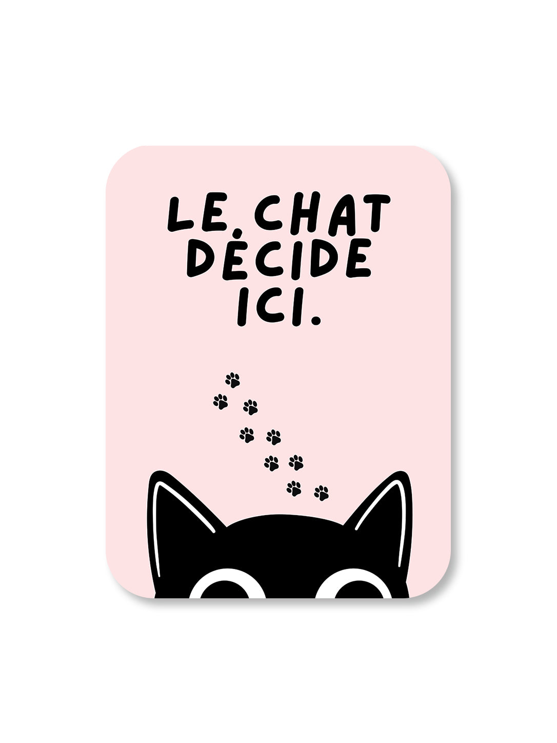 Aimant Le chat décide ici