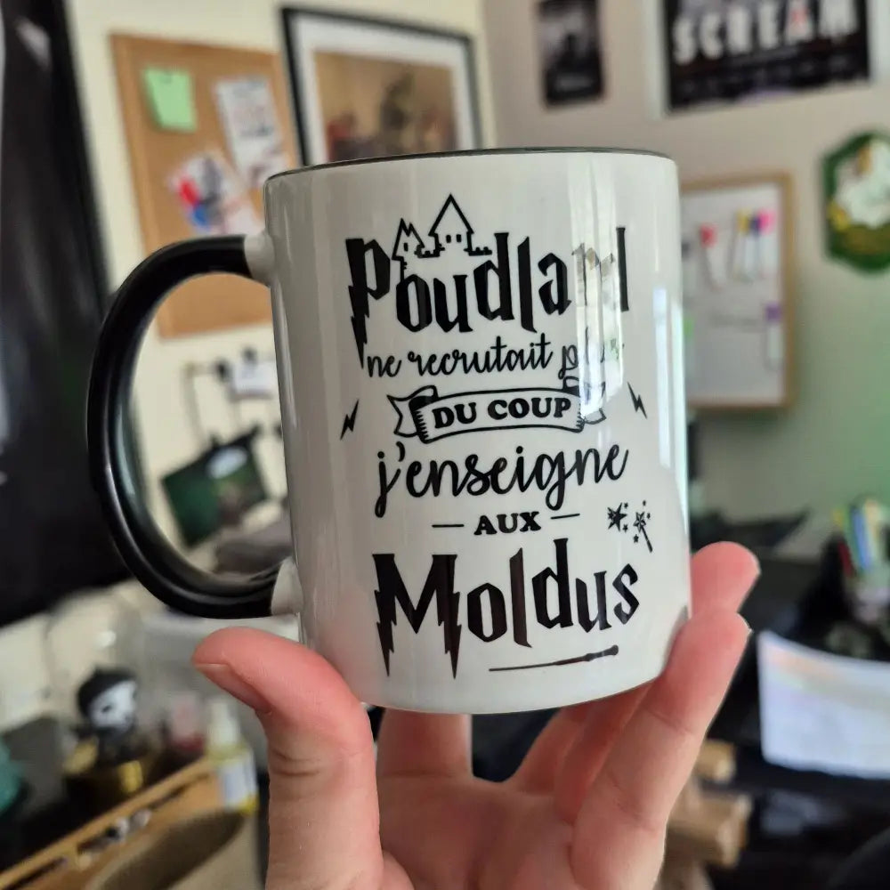 Mug céramique J'enseigne aux moldus