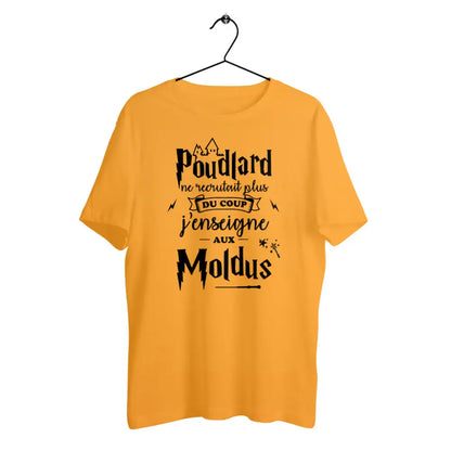 T-shirt homme en coton bio J'enseigne aux moldus