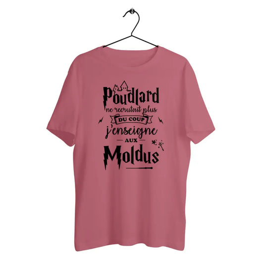 T-shirt homme en coton bio J'enseigne aux moldus