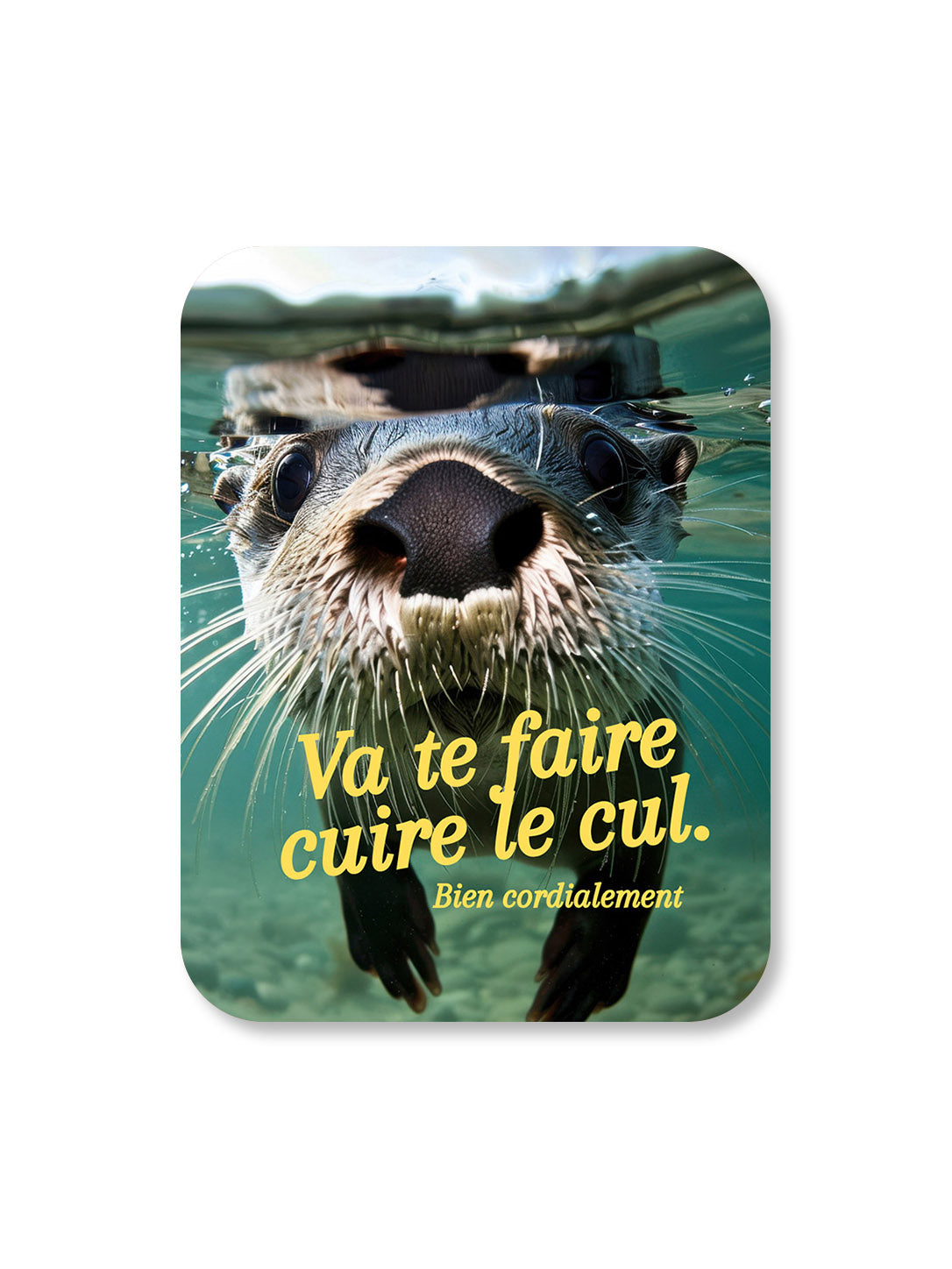 Aimant Va te faire cuire le cul bien cordialement Encre et Créations
